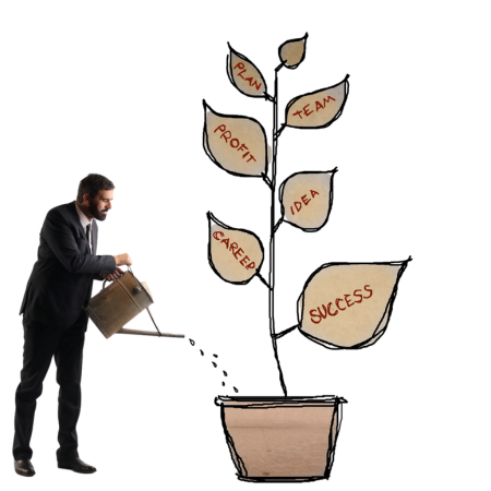 Social media platforms, how to grow social media presence